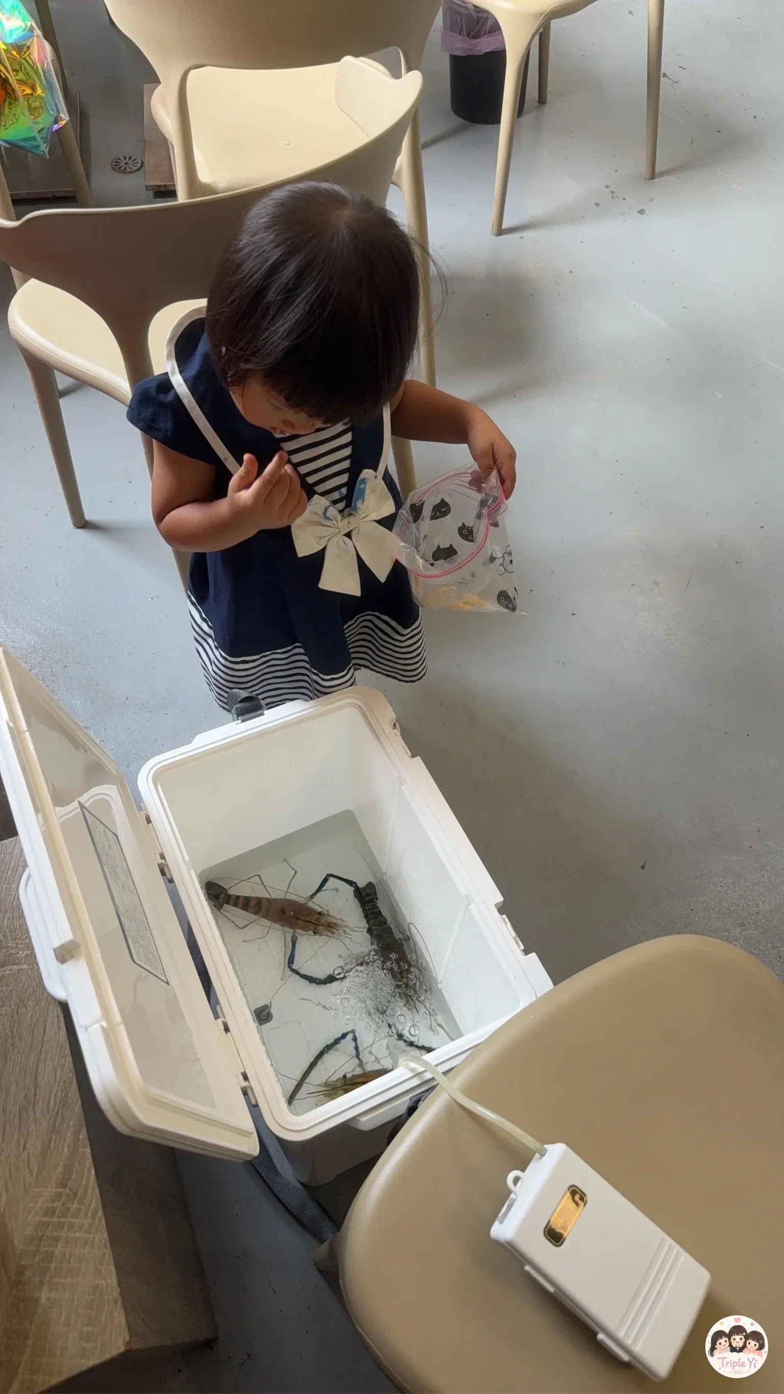 有把釣起來蝦子放在水箱給孩子看